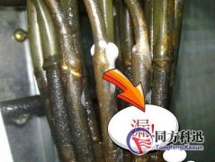 制冷剂泄漏有哪些检测方法？
